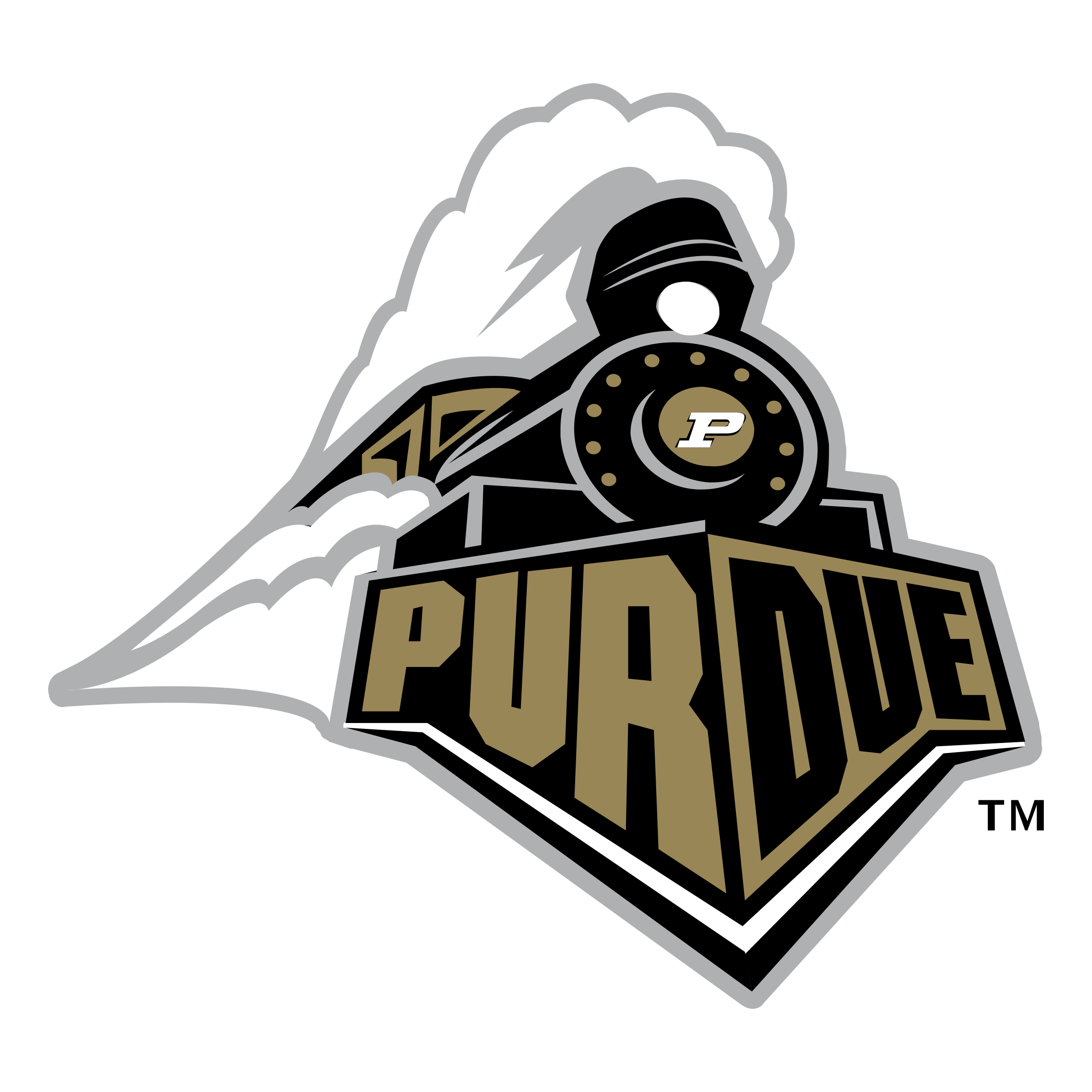 Purdue University